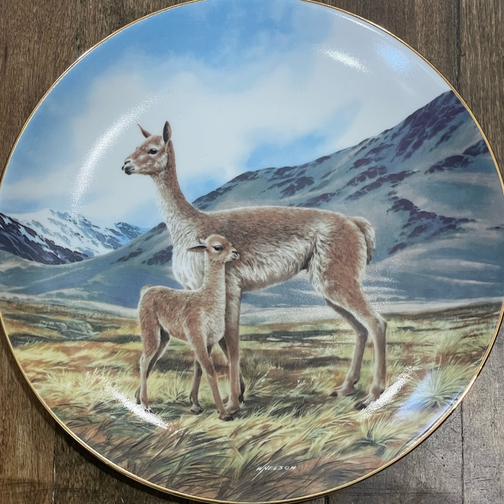 The Vicuna Collectors Plate